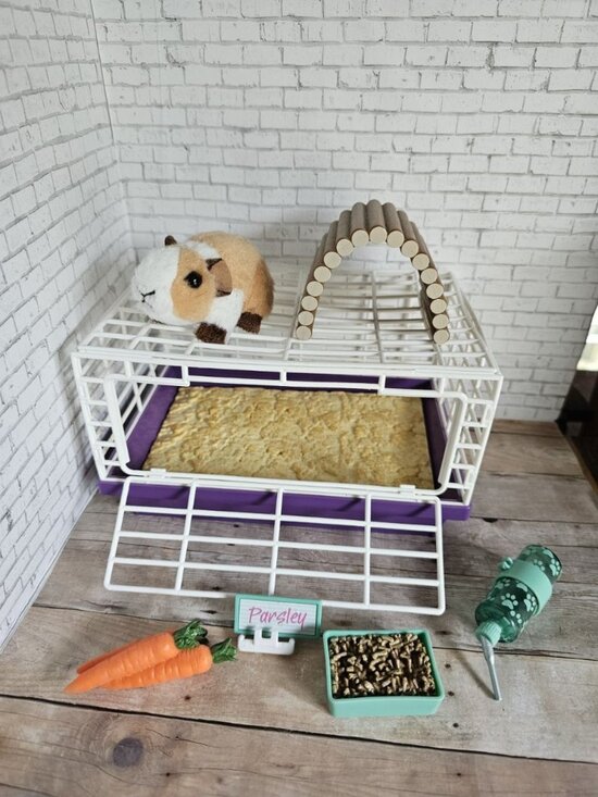American Girl Other - American Girl Courtney 1986 Parsley Guinea Pig Pet Cage Set Playset Archival